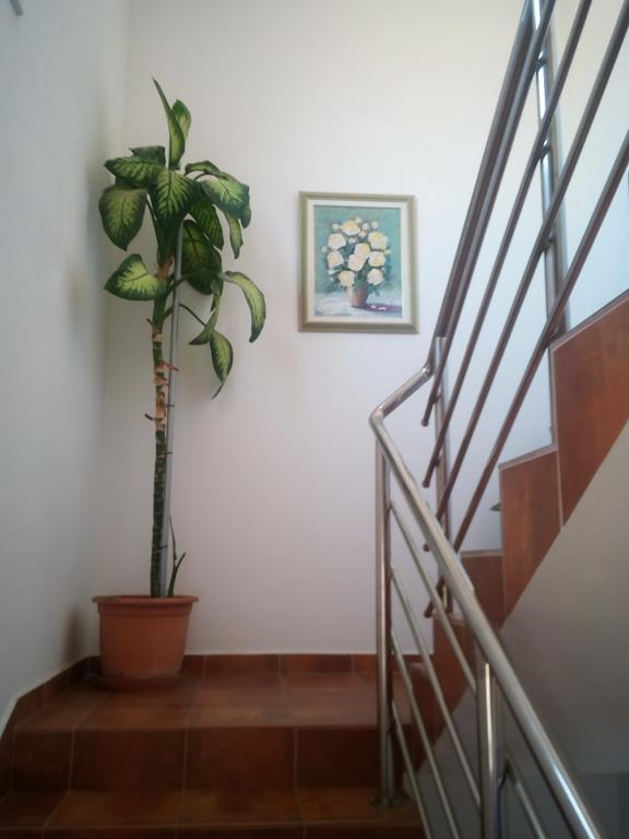Apartmani Kapitanovic Biograd Na Moru Exterior foto